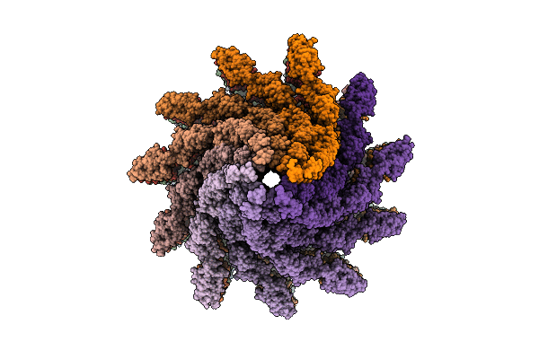 9M5T image