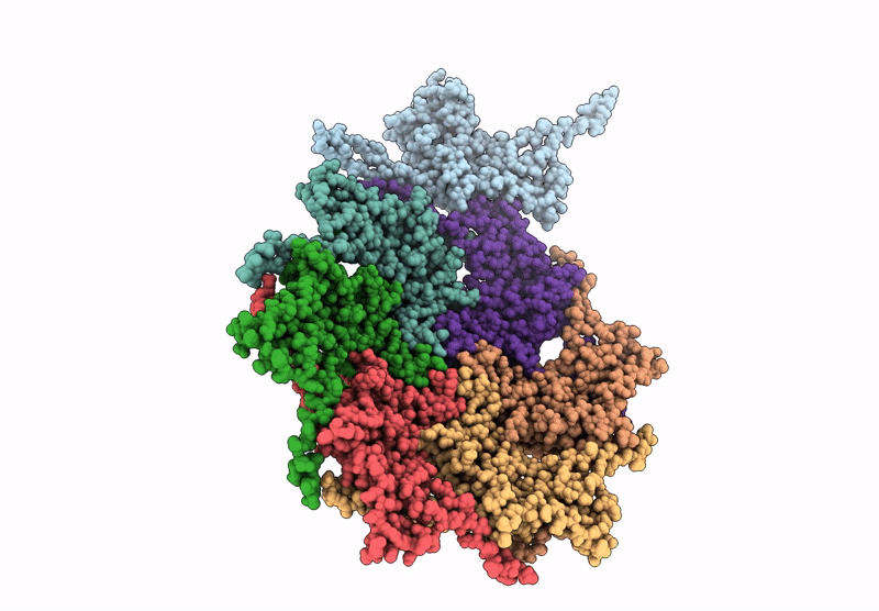 9M66 image