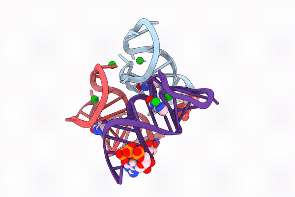 9M6C image