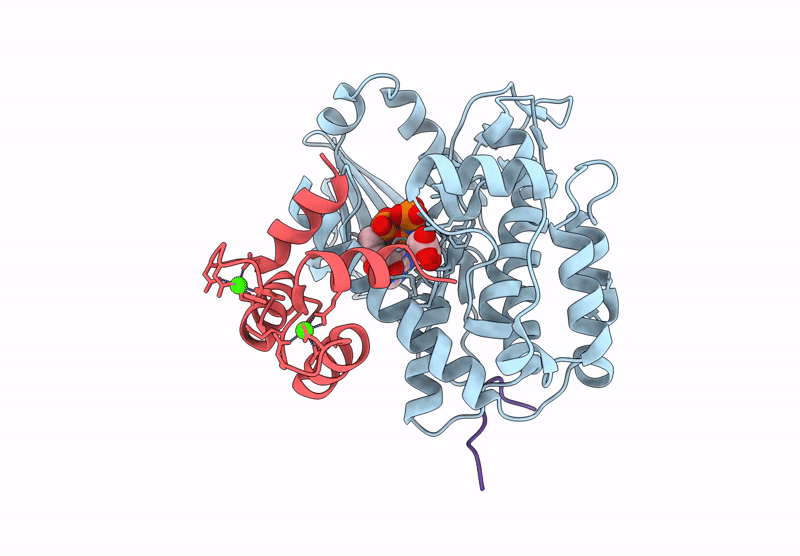 9M6G image