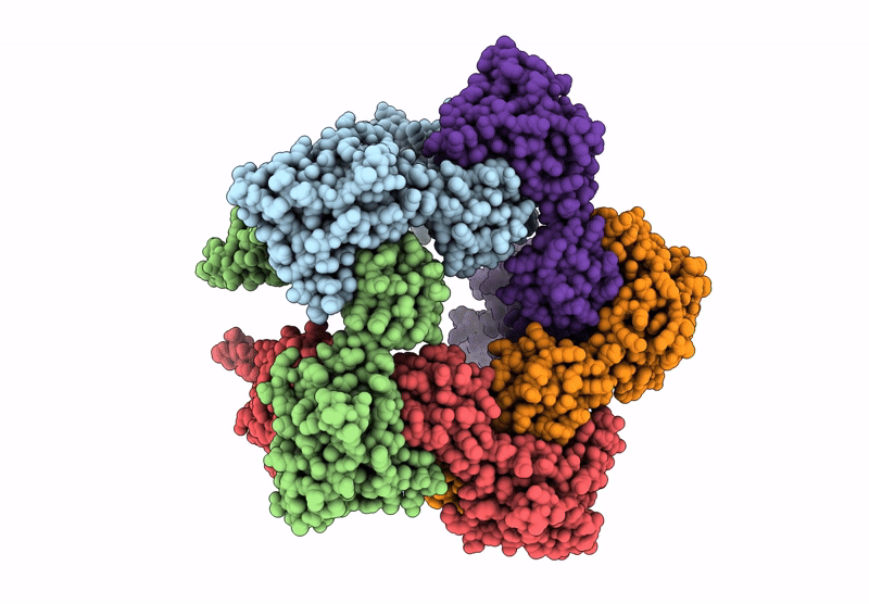 9M6I image