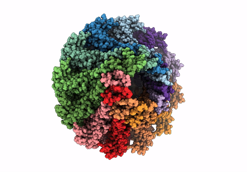 9M6K image