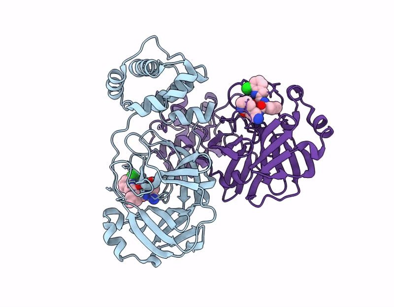 9M6R image