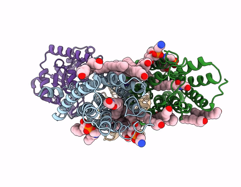 9M88 image