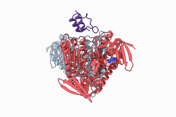 9M8E image