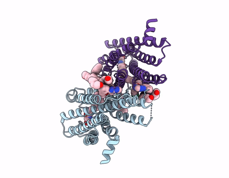 9M8P image