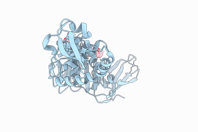 9M9B image