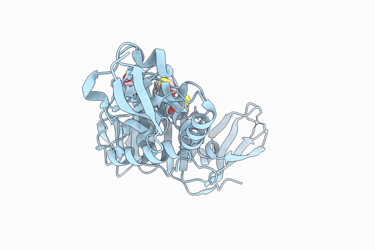 9M9C image