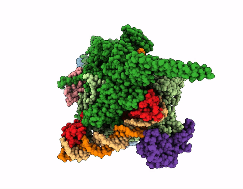 9M9D image