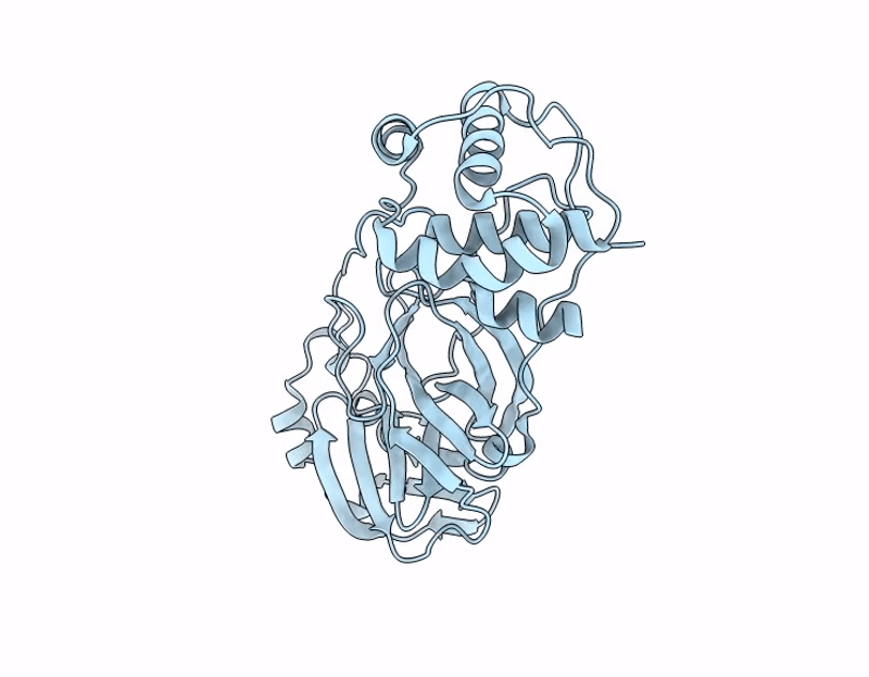 9M9N image