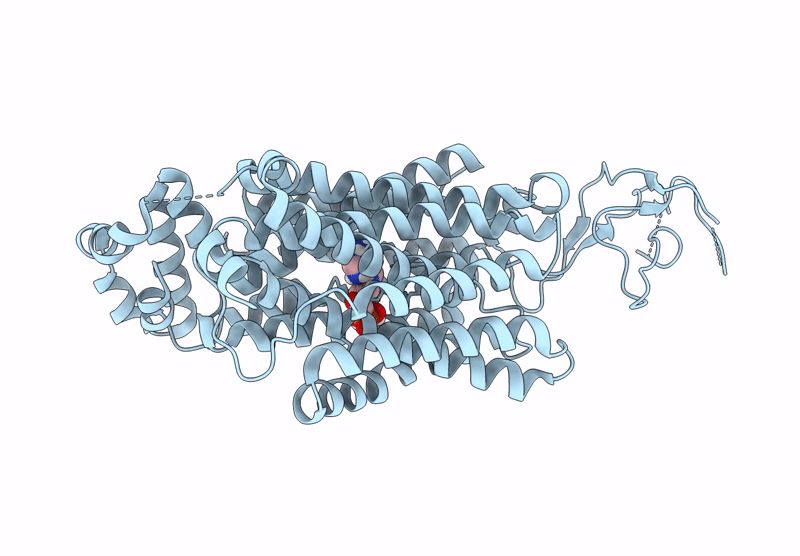 9M9V image