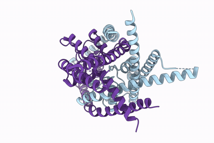 9M9W image