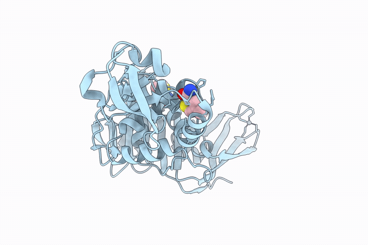 9MAB image