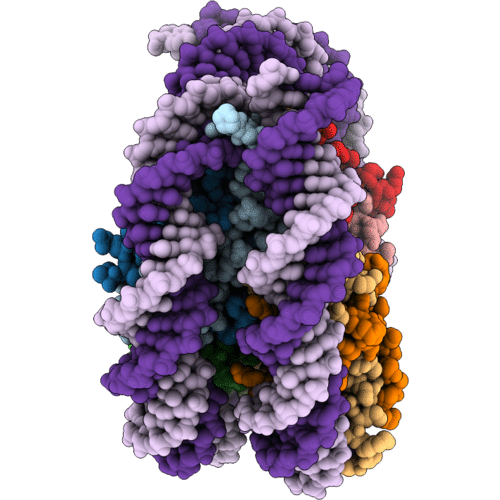 9MB2 image