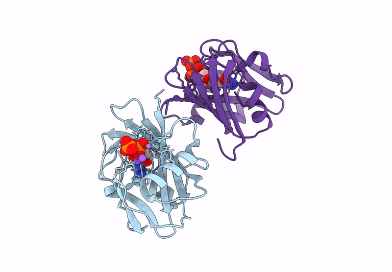 9MBH image