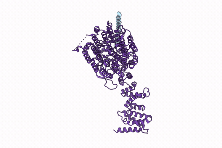 9MBO image