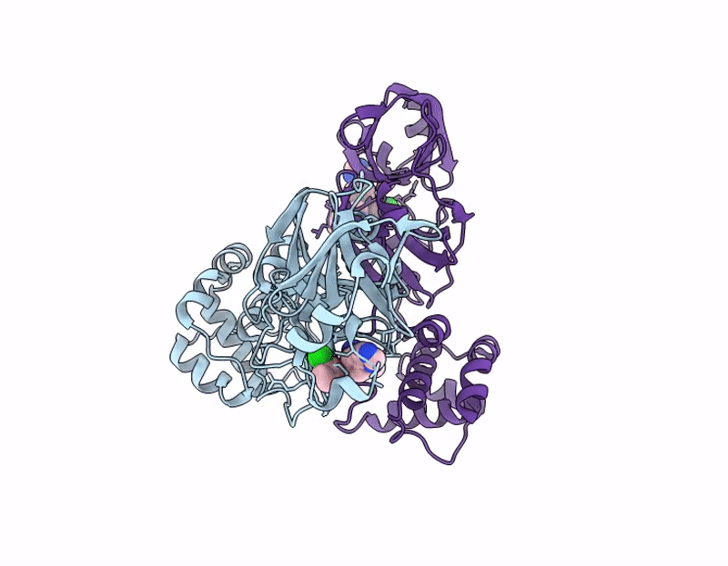 9MBV image