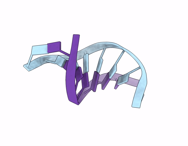 9MBW image