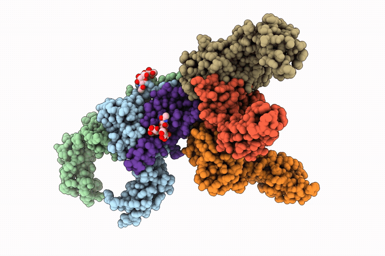 9MBZ image