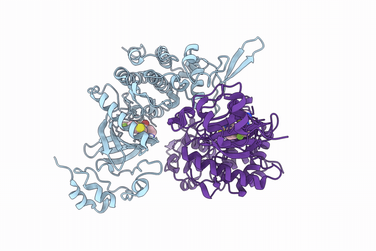 9MC0 image
