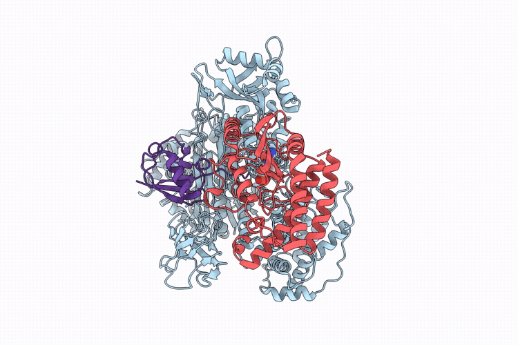9MC6 image