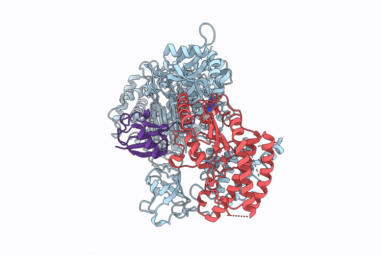 9MC9 image