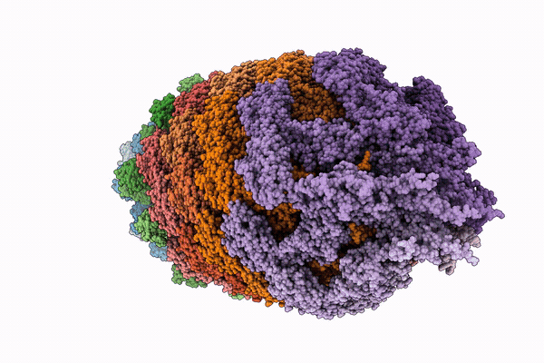 9MCG image