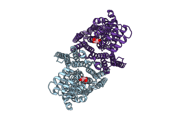 9MCT image