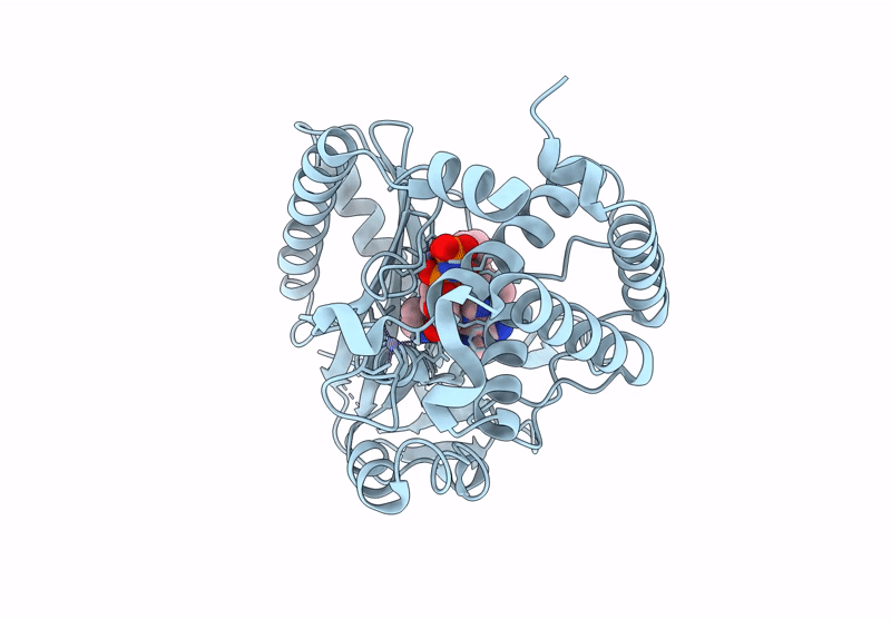 9MDD image