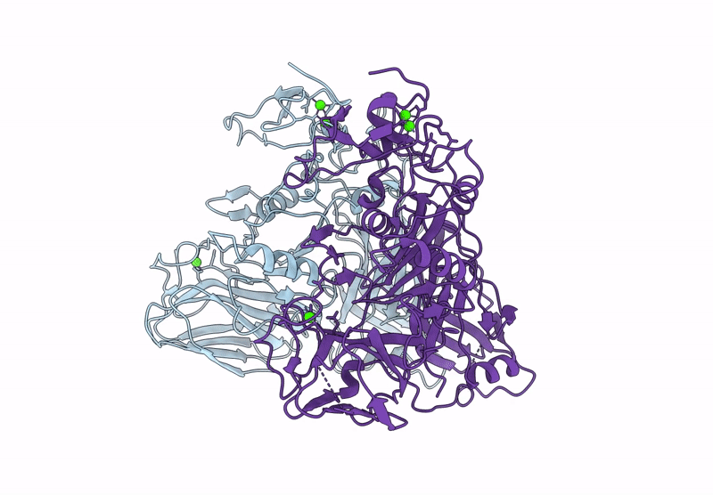 9MDI image