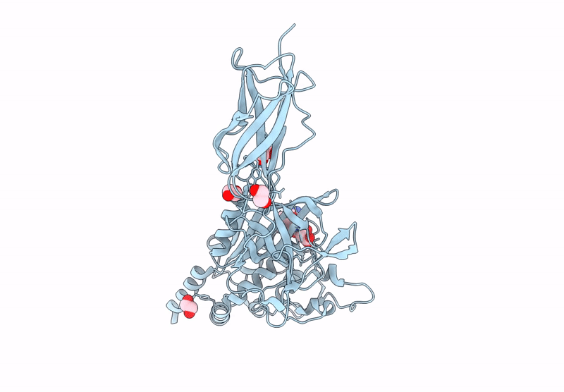 9MDK image
