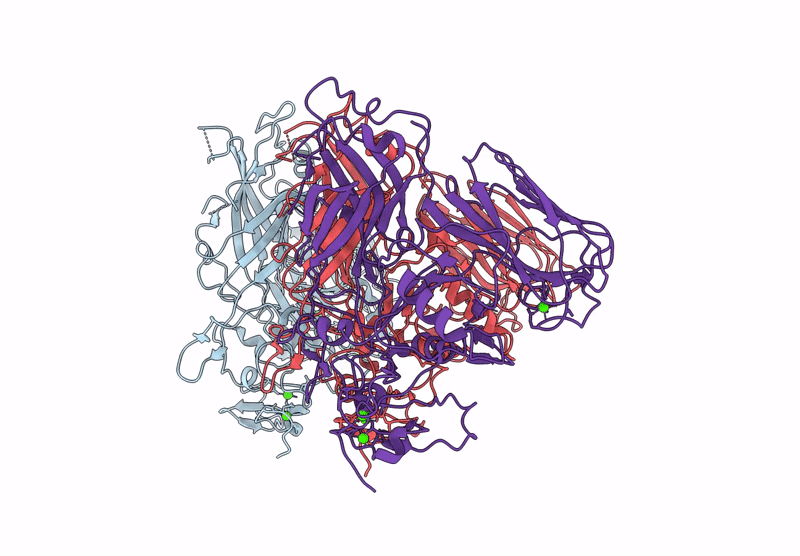 9MDL image