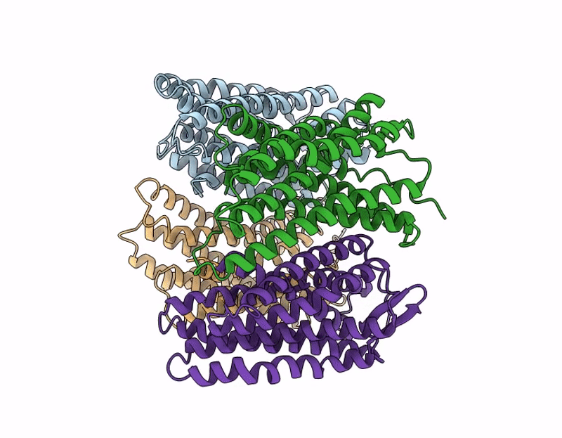 9MDU image