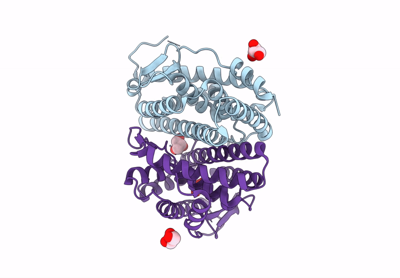 9MDV image