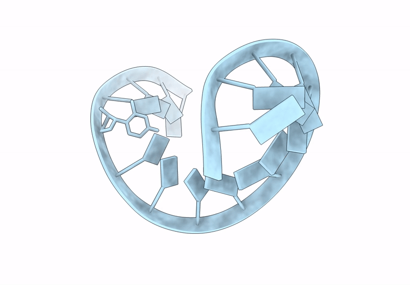9MDX image