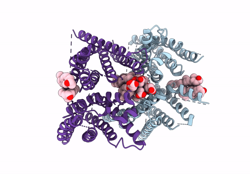 9MFL image