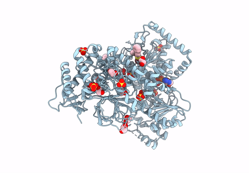 9MFR image