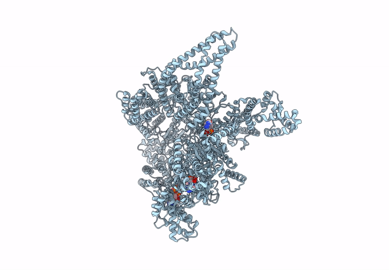 9MFX image