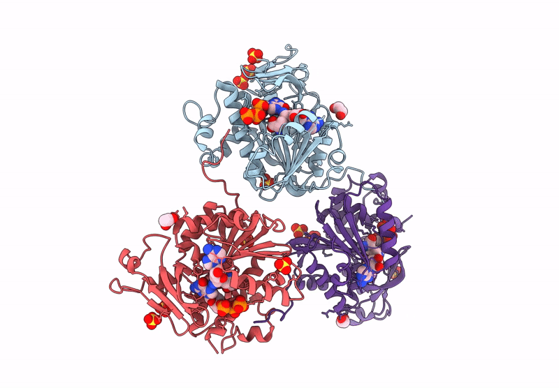 9MG6 image