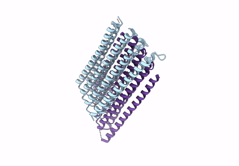 9MG8 image