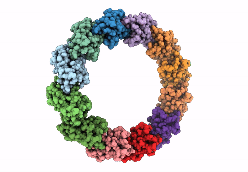 9MGH image