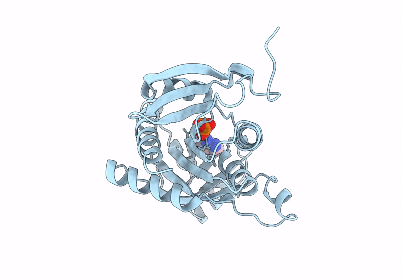 9MGX image