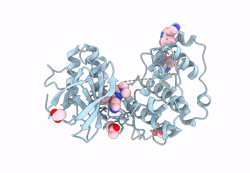 9MHB image