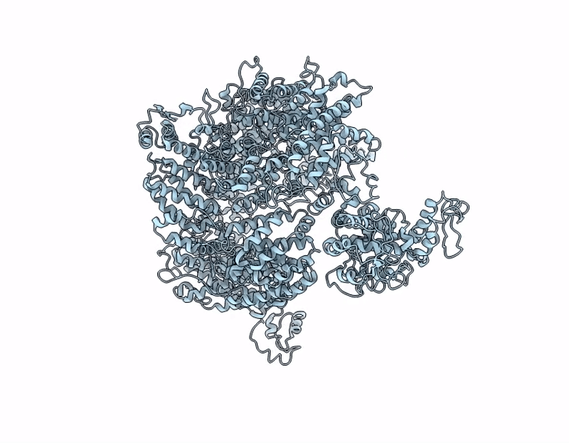 9MHP image