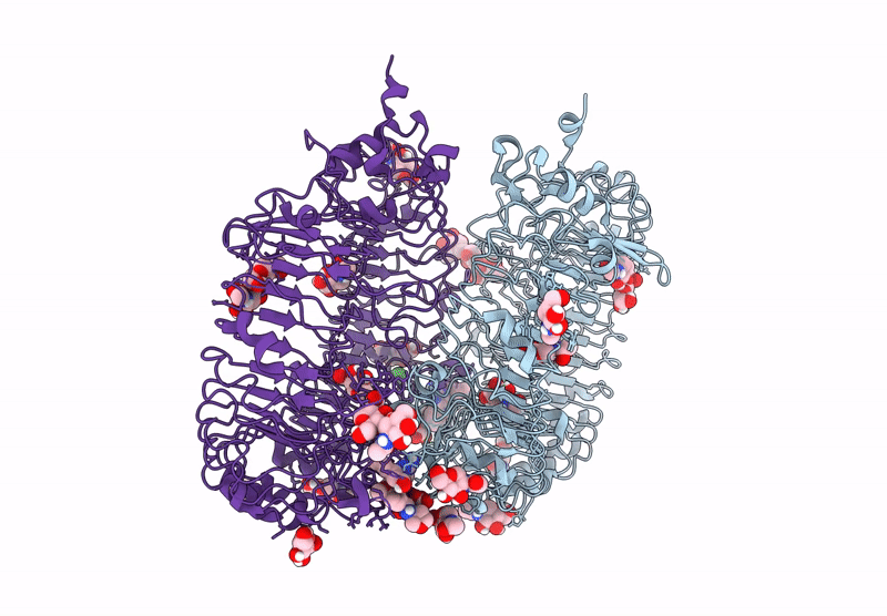 9MHV image