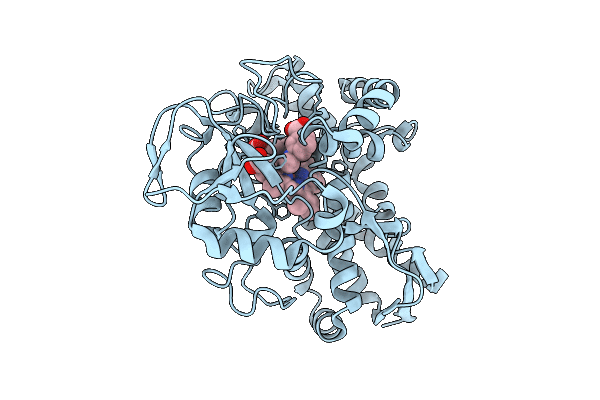 9MIM image
