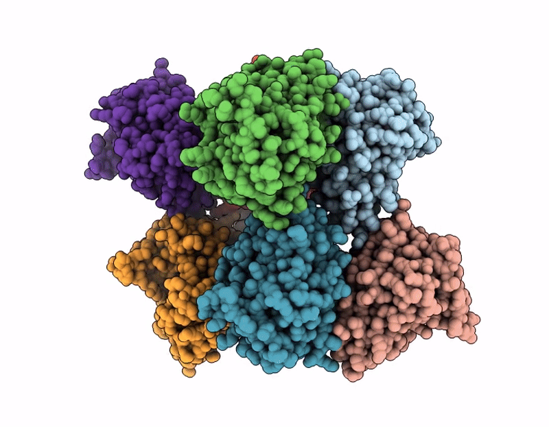 9MKL image