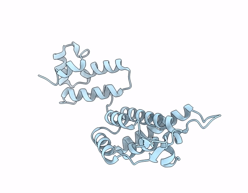 9MKP image
