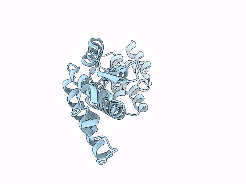 9MKQ image
