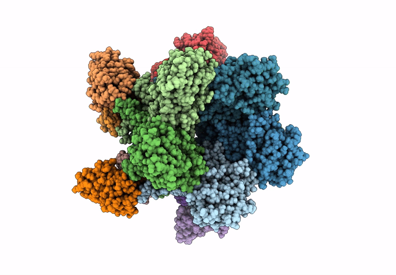 9ML1 image